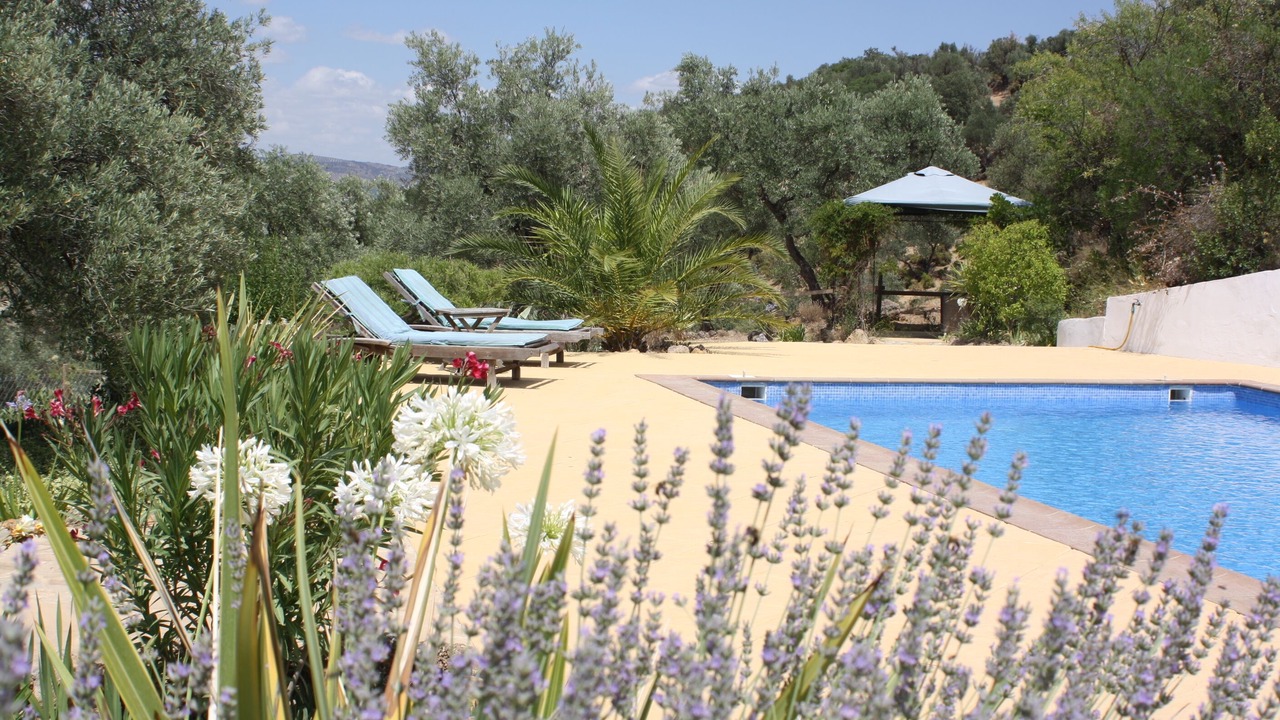 Photo of Outdoor in Loja
