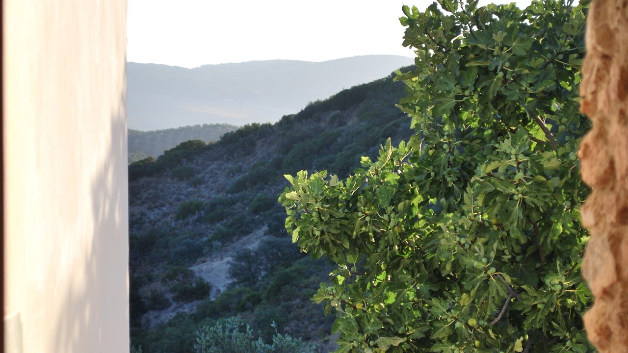 Photo of Others in Loja