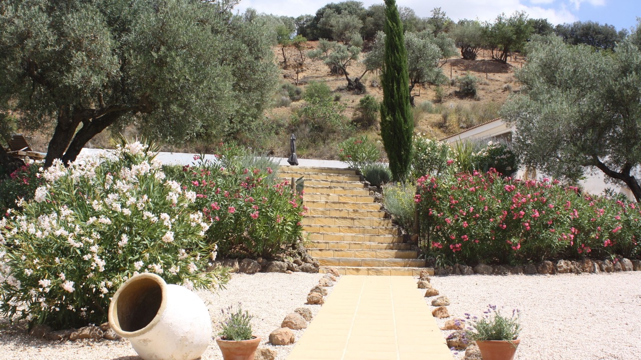 Photo of Outdoor in Loja