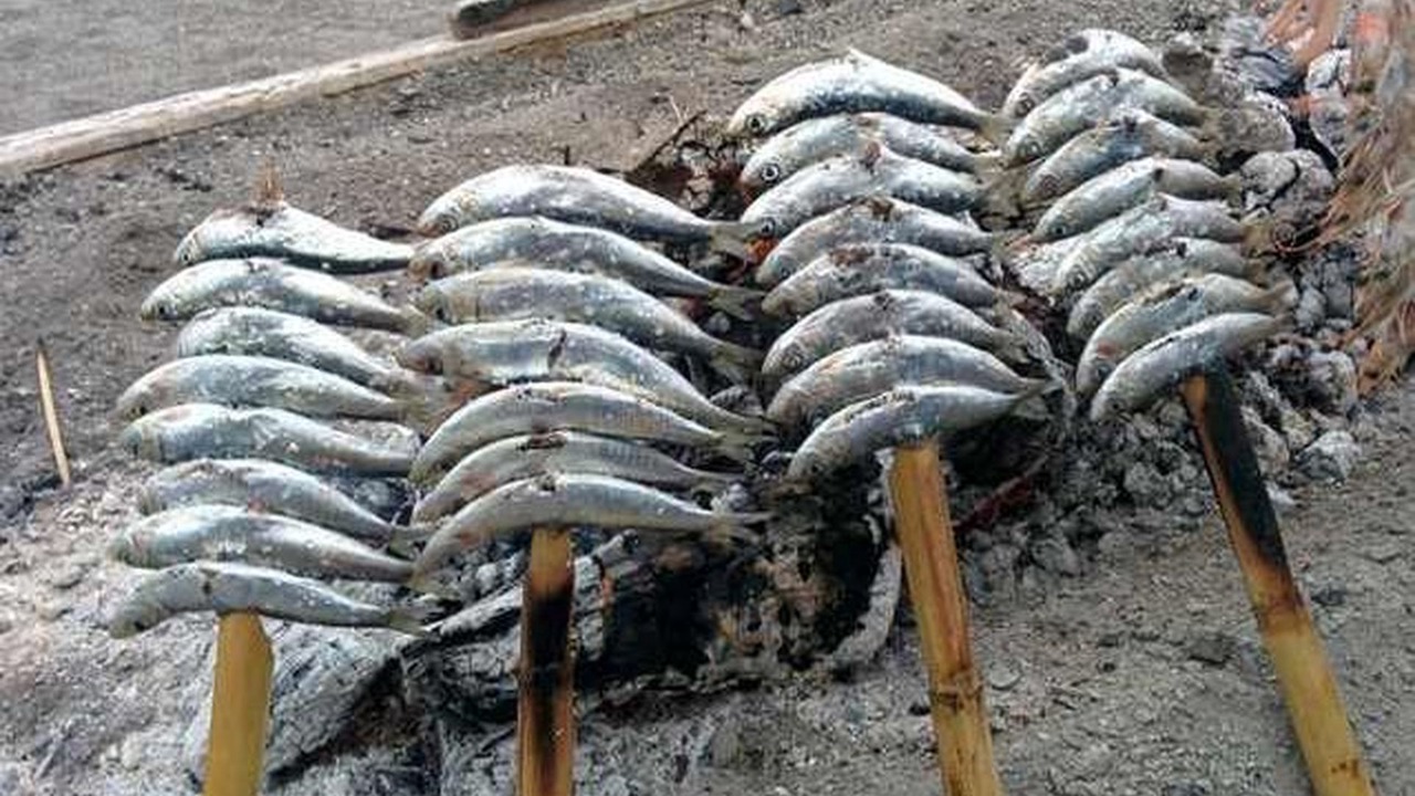 Photo of Others in Almunecar
