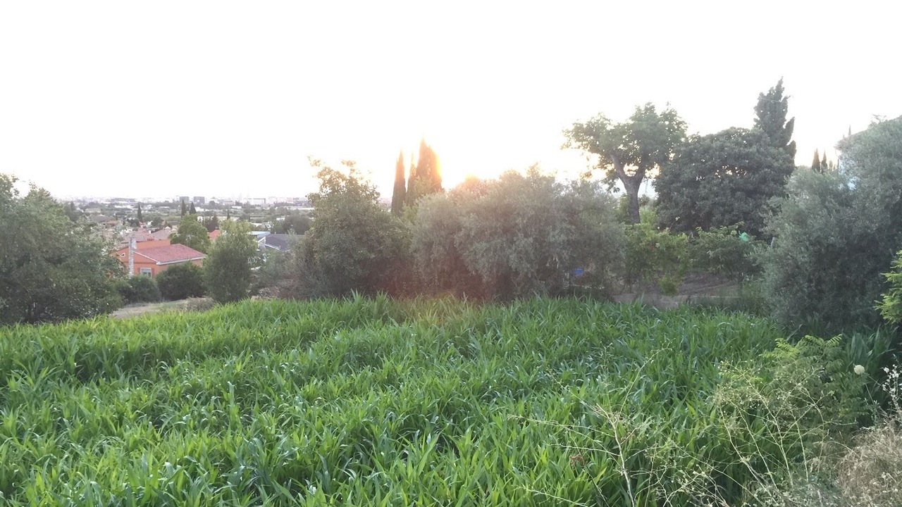 Photo of Outdoor in Huetor Vega