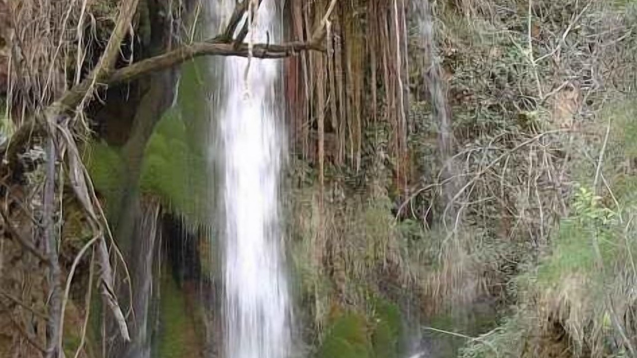 Photo of Outdoor in Conchar