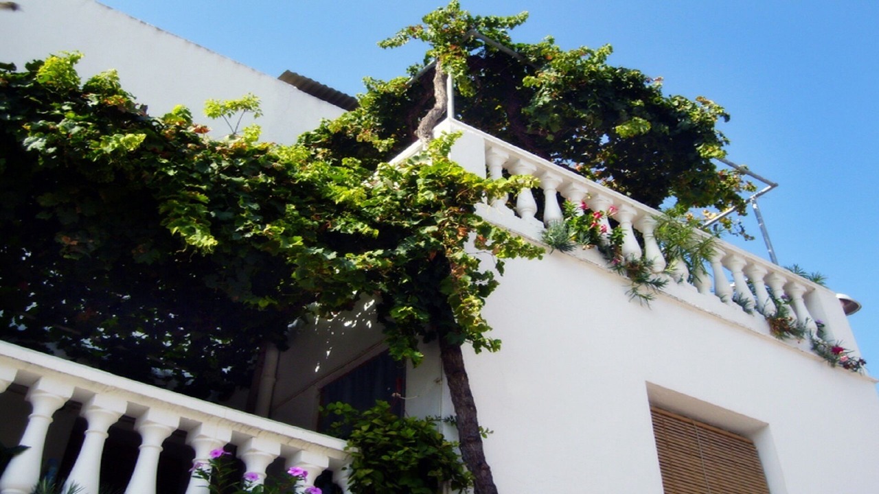 Photo of Outdoor in La Herradura