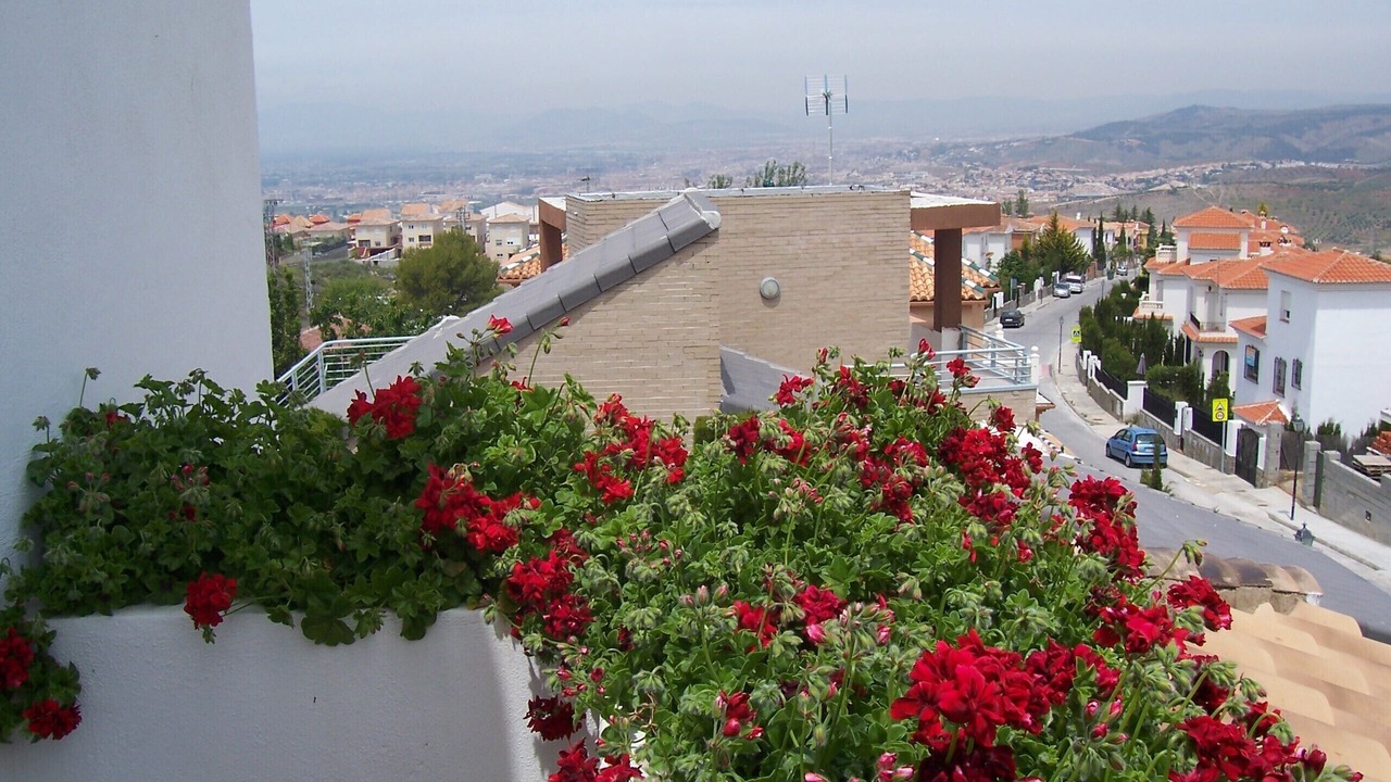 Photo of Outdoor in Barrio de la Vega