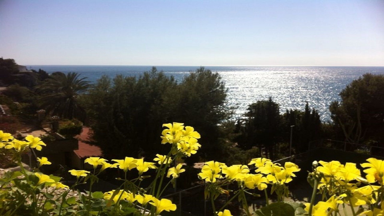 Photo of Outdoor in Almunecar