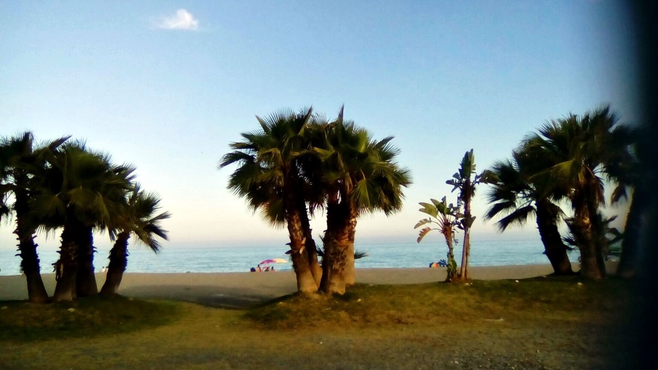 Photo of Others in Velilla-Taramay