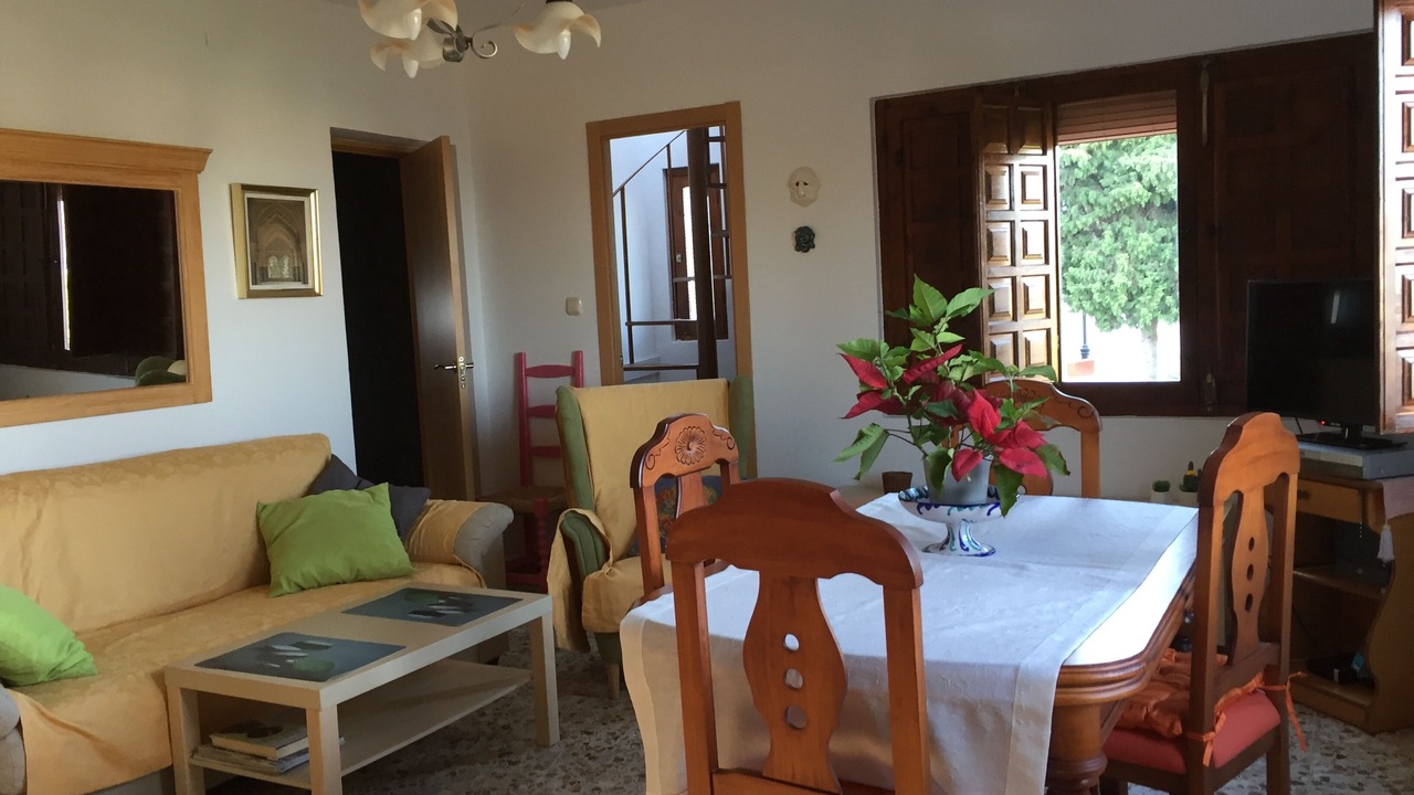 Photo of Livingroom in Salobrena