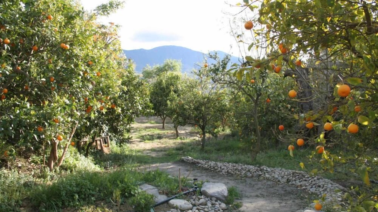 Photo of Outdoor in Melegis