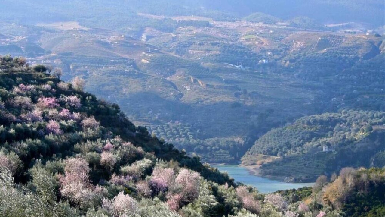 Photo of Outdoor in Melegis