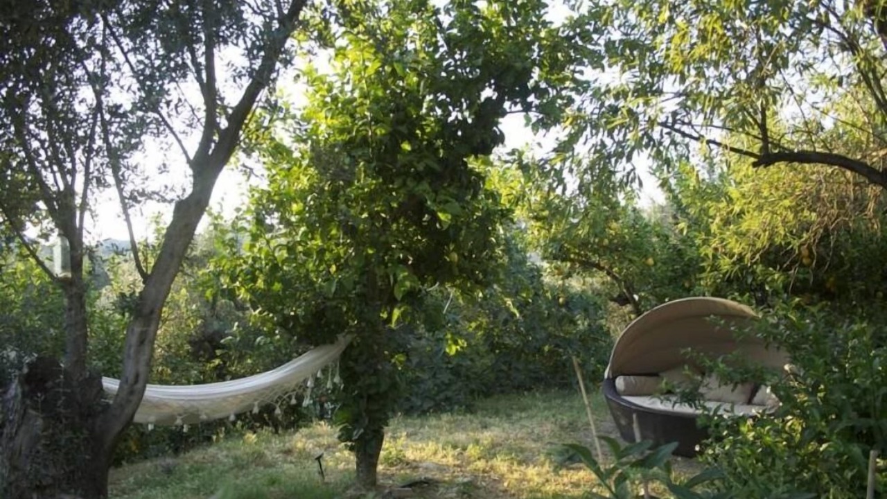 Photo of Outdoor in Melegis