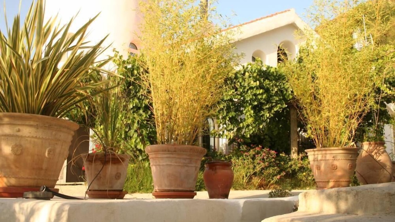Photo of Outdoor in Melegis