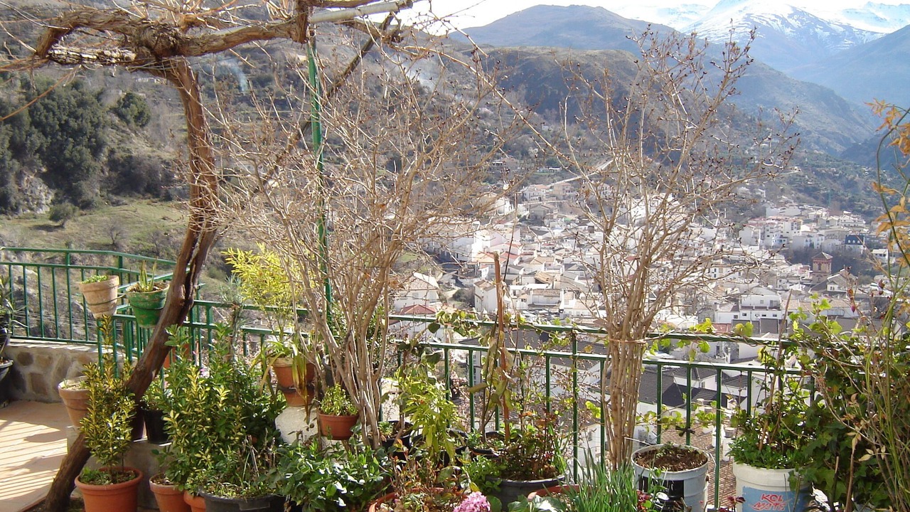Photo of Outdoor in Guejar Sierra
