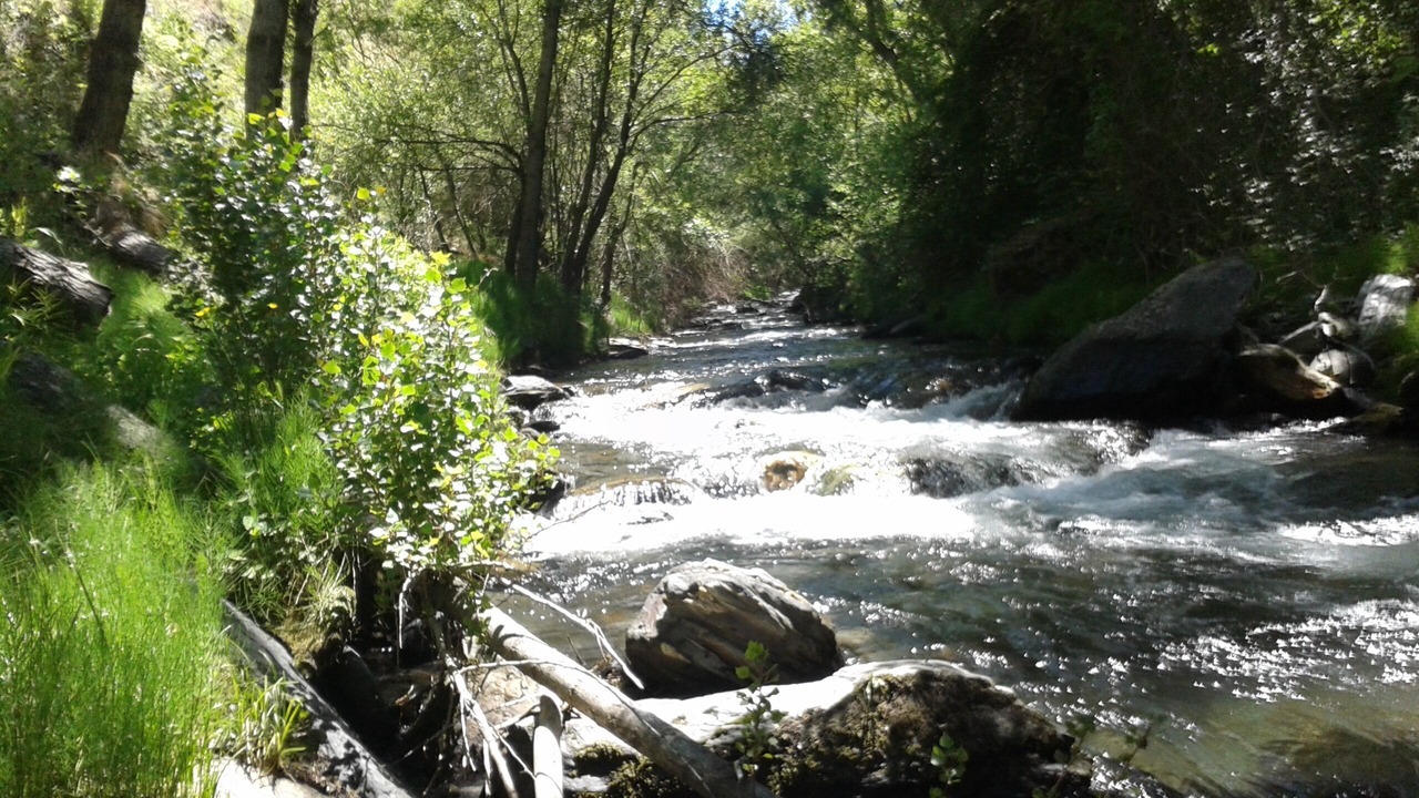 Photo of Outdoor in Guejar Sierra