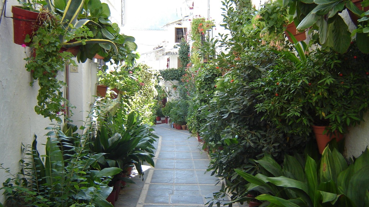 Photo of Outdoor in Guejar Sierra