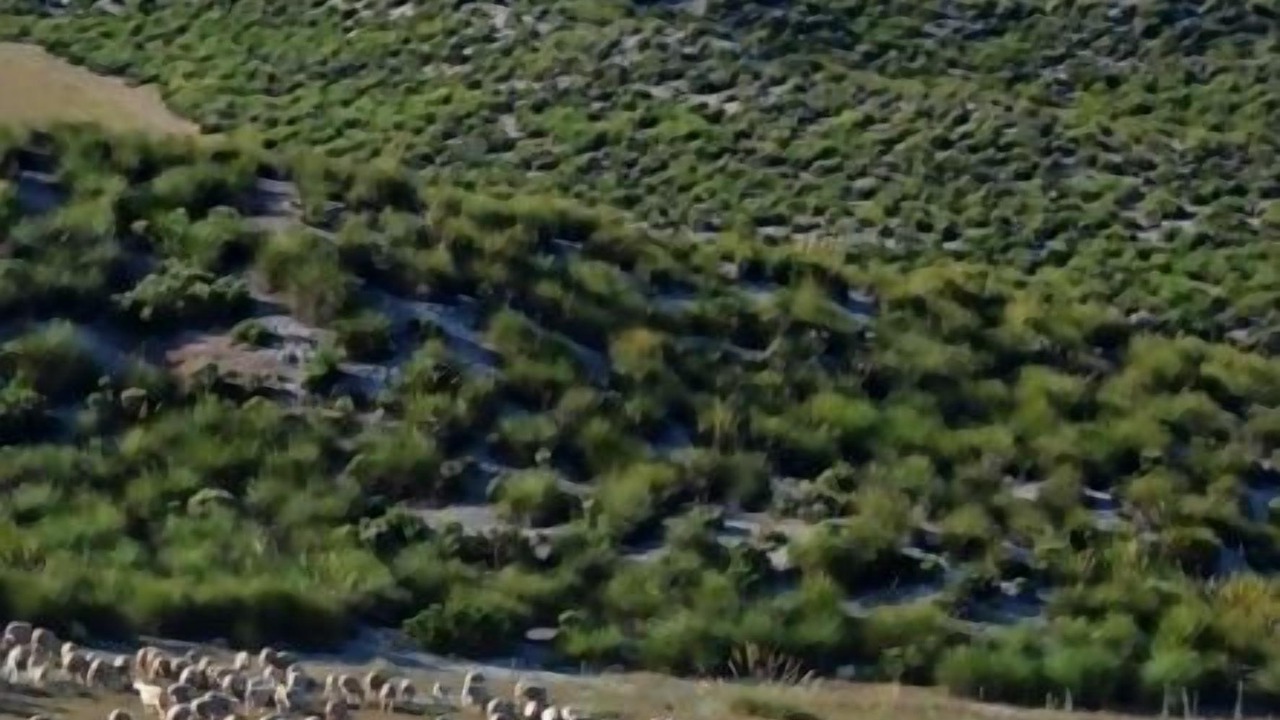 Photo of Others in Galera