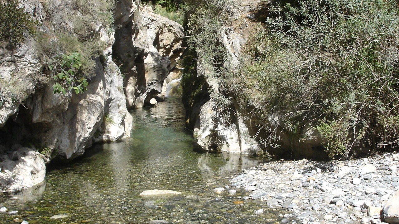Photo of Others in Rubite