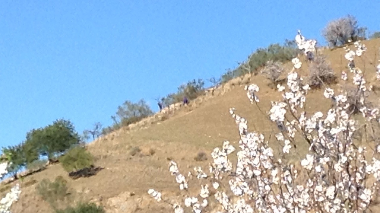 Photo of Others in Rubite