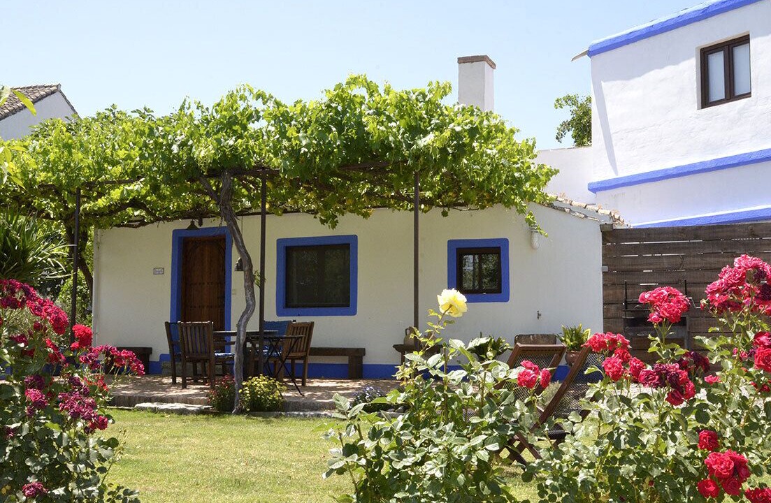 Photo of Outdoor in Las Gabias