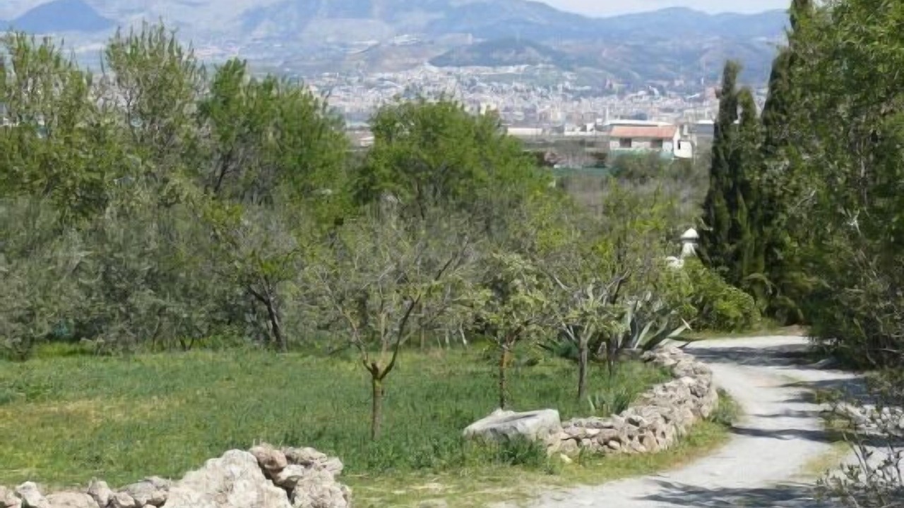 Photo of Outdoor in Las Gabias