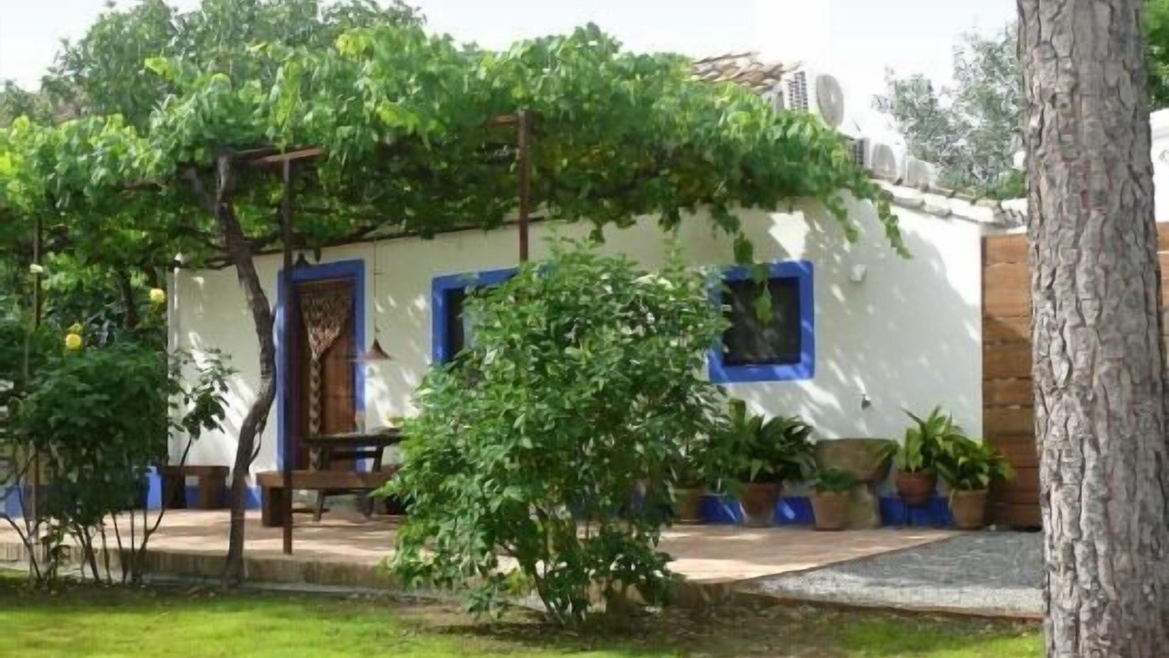 Photo of Patio Balcony in Las Gabias