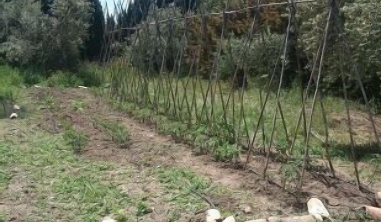 Photo of Outdoor in Las Gabias