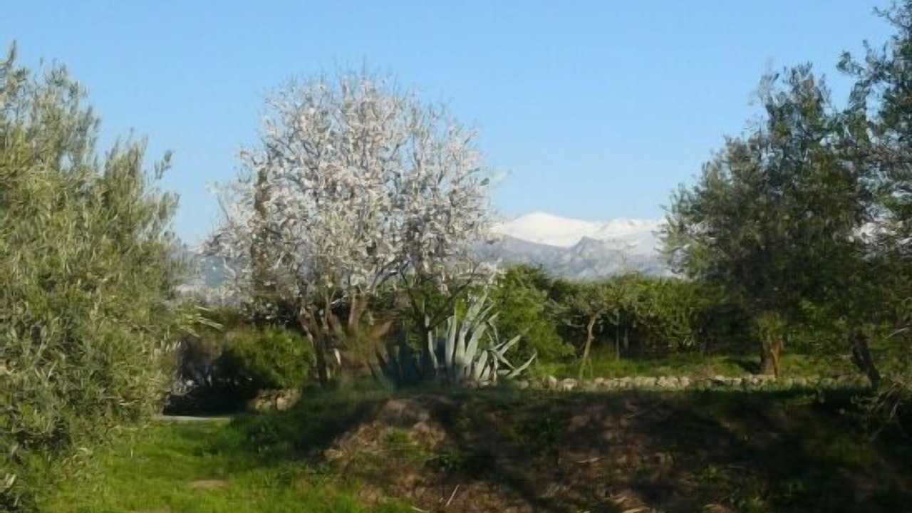 Photo of Outdoor in Las Gabias