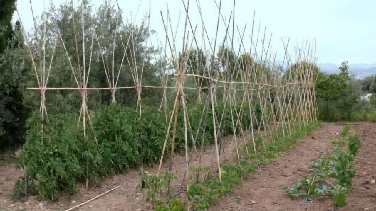 Photo of Outdoor in Las Gabias