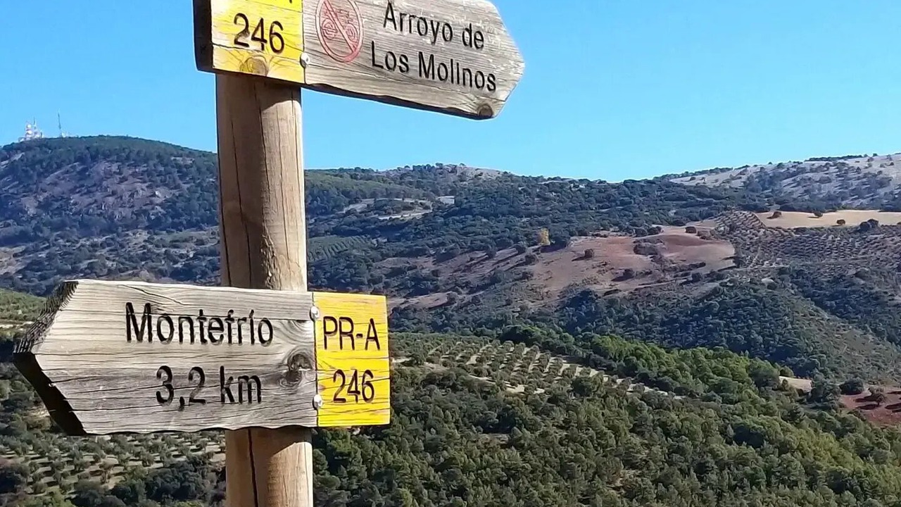 Photo of Others in Montefrio