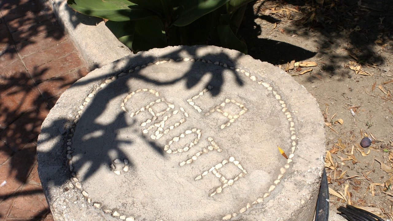 Photo of Outdoor in Murchas