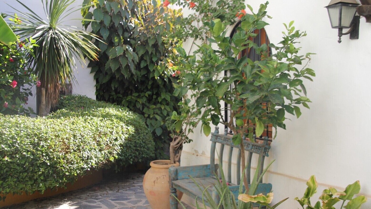 Photo of Patio Balcony in Almunecar
