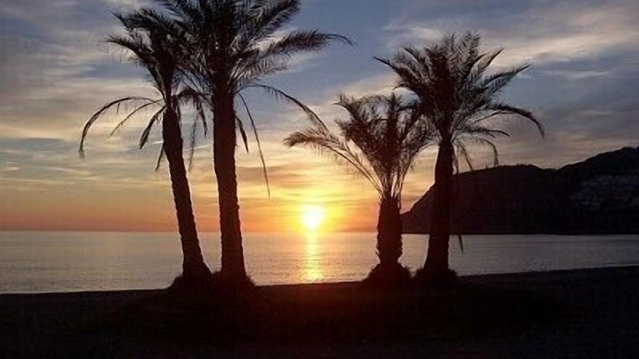 Photo of Others in Almunecar