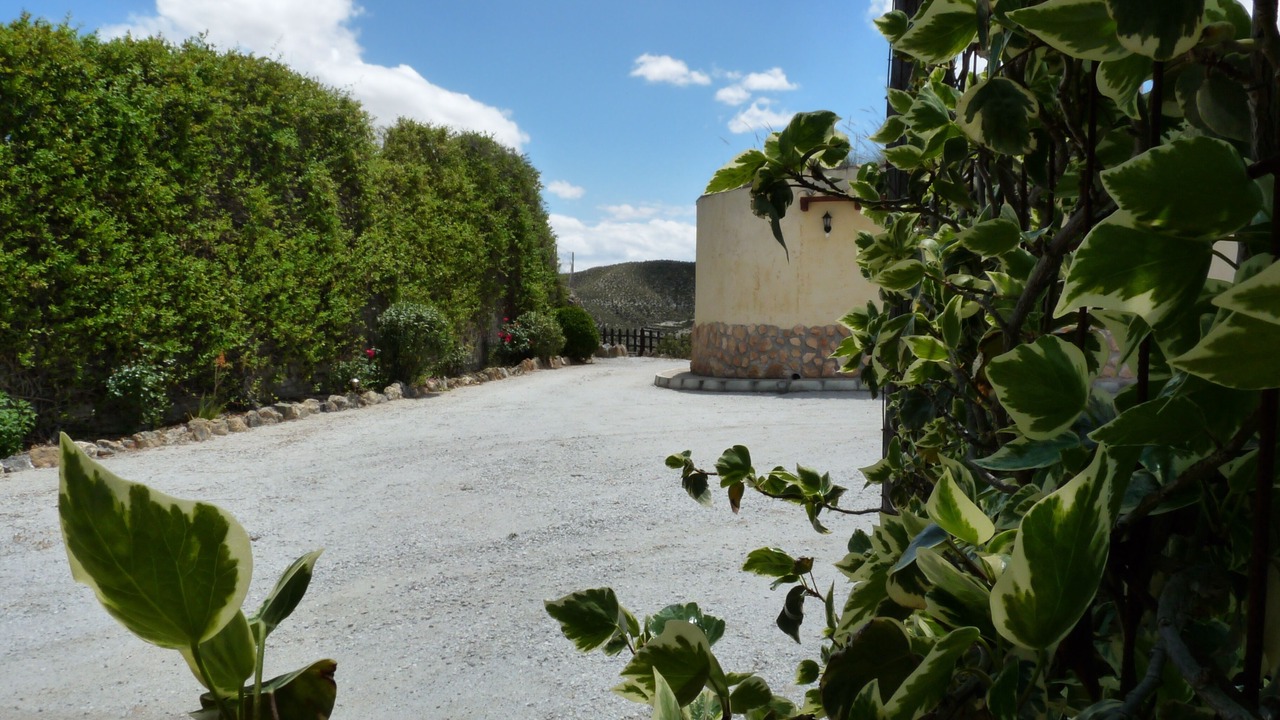 Photo of Outdoor in Cullar