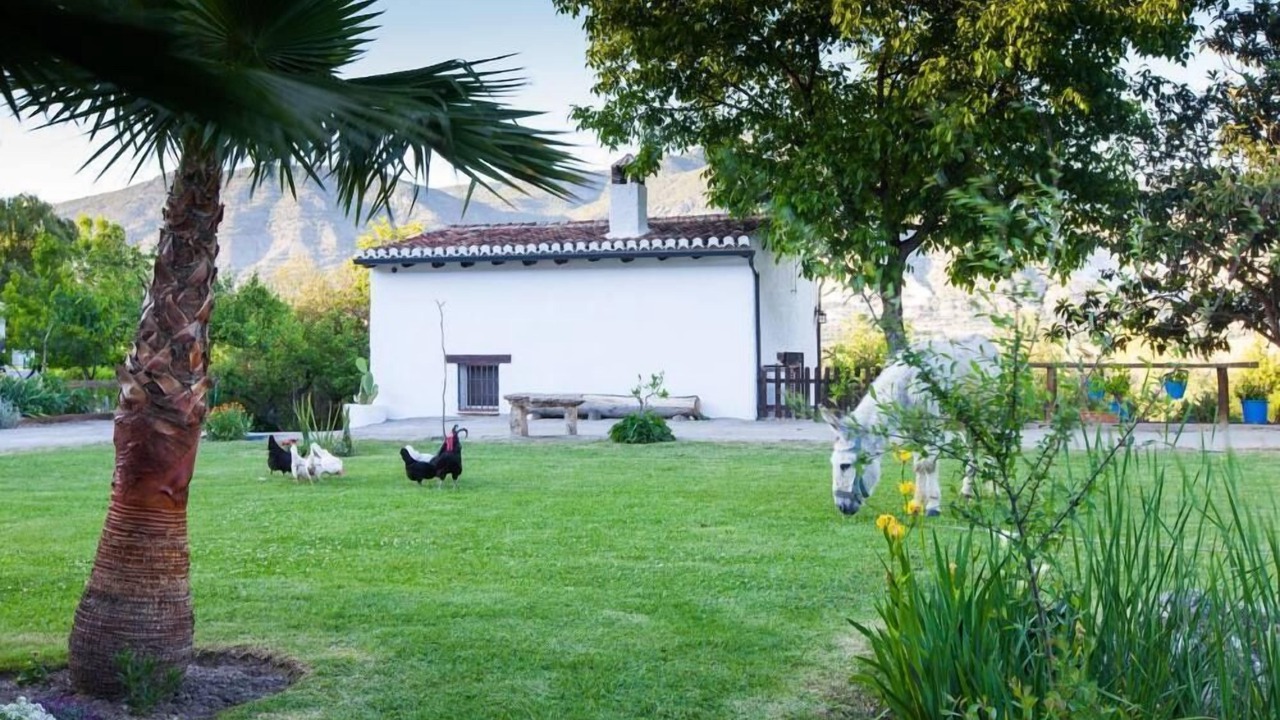 Photo of Outdoor in Padul