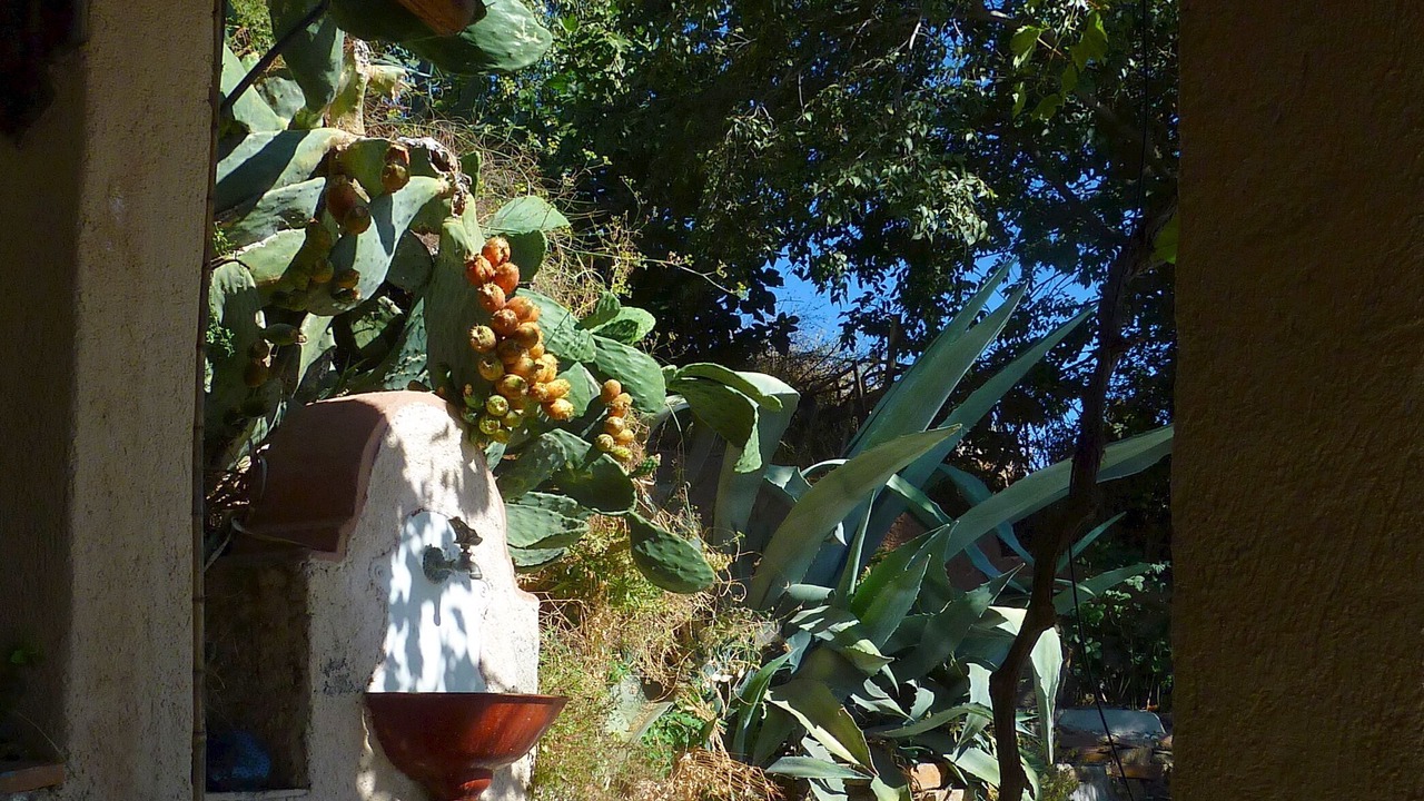 Photo of Outdoor in Pitres