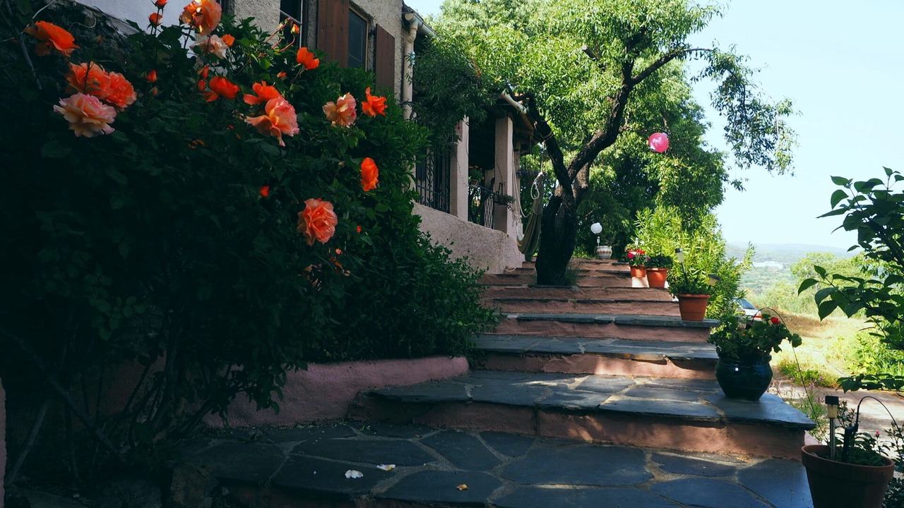 Photo of Outdoor in Pitres