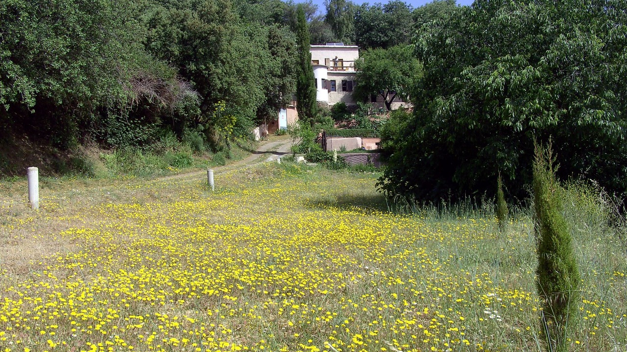 Photo of Outdoor in Pitres