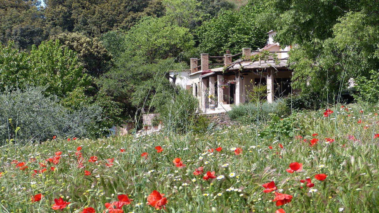 Photo of Outdoor in Pitres