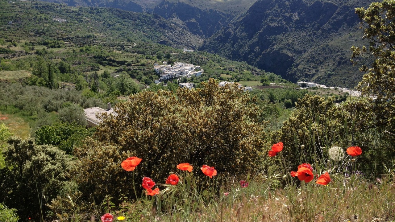 Photo of Outdoor in Pitres