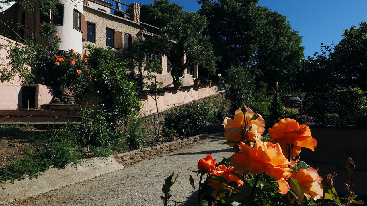 Photo of Outdoor in Pitres