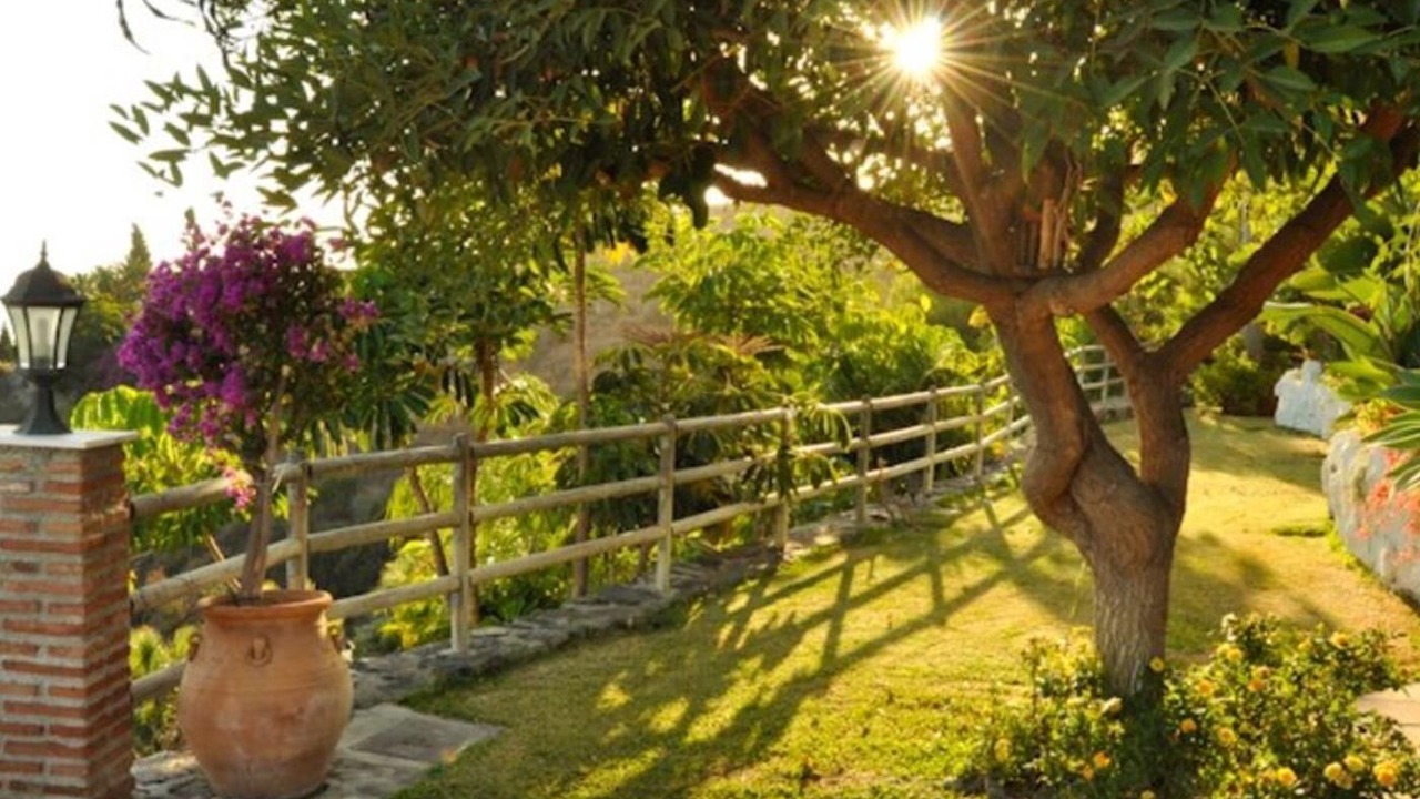 Photo of Outdoor in Salobrena