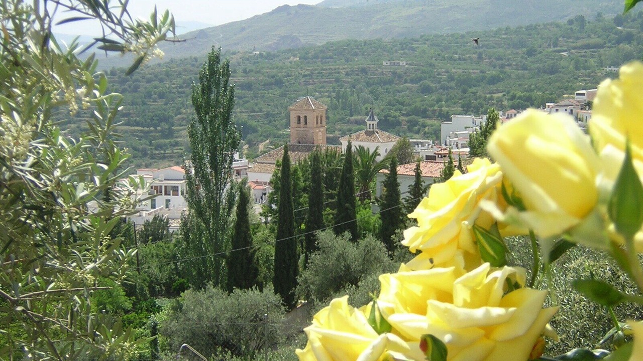 Photo of Outdoor in Nechite