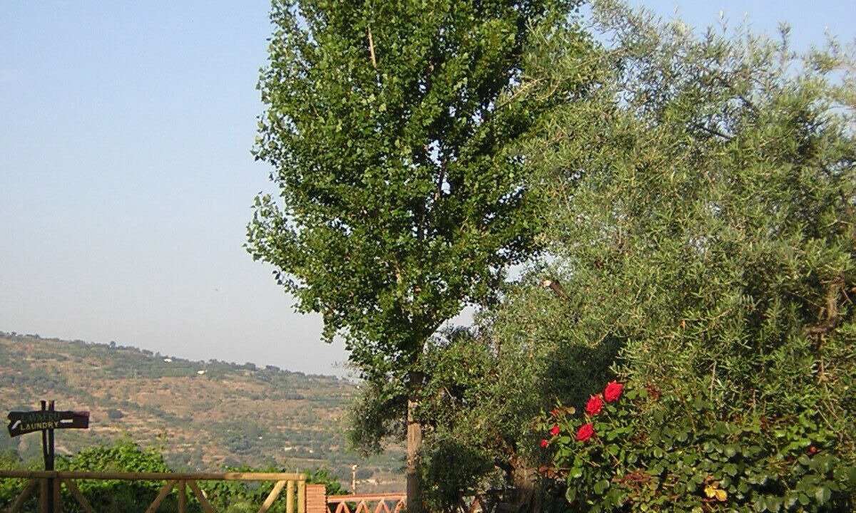 Photo of Outdoor in Nechite