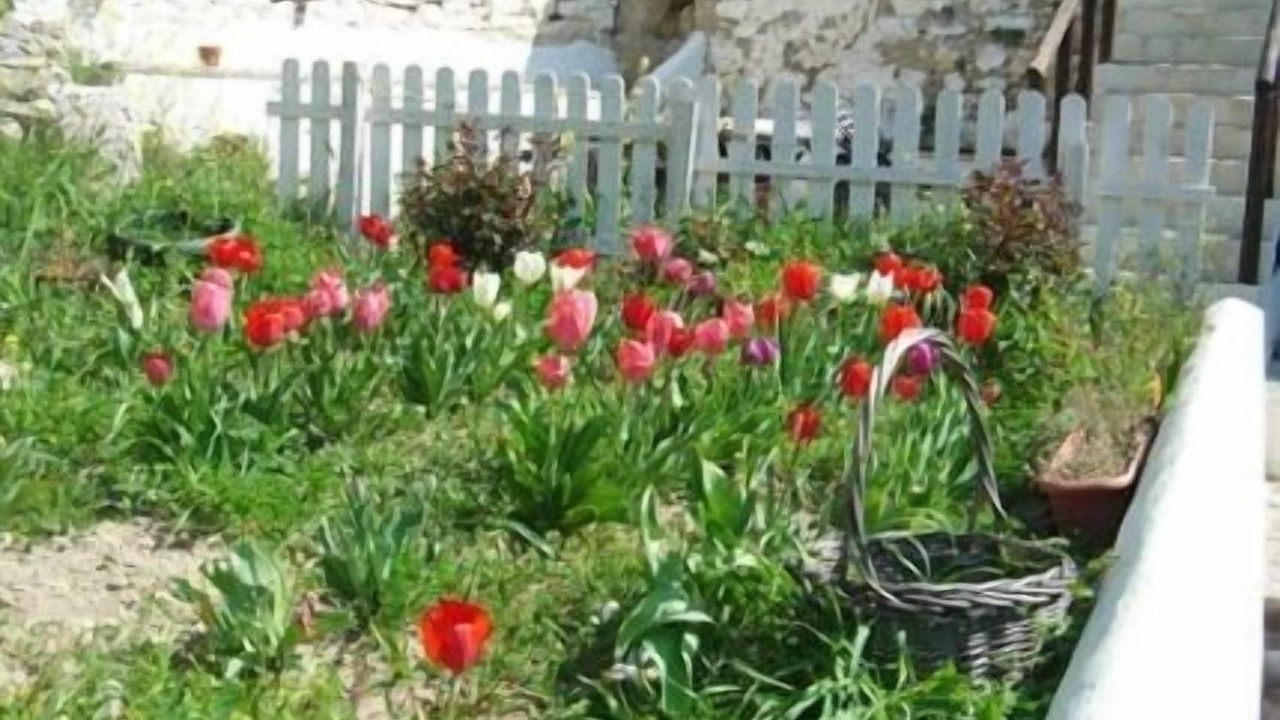 Photo of Outdoor in Montefrio