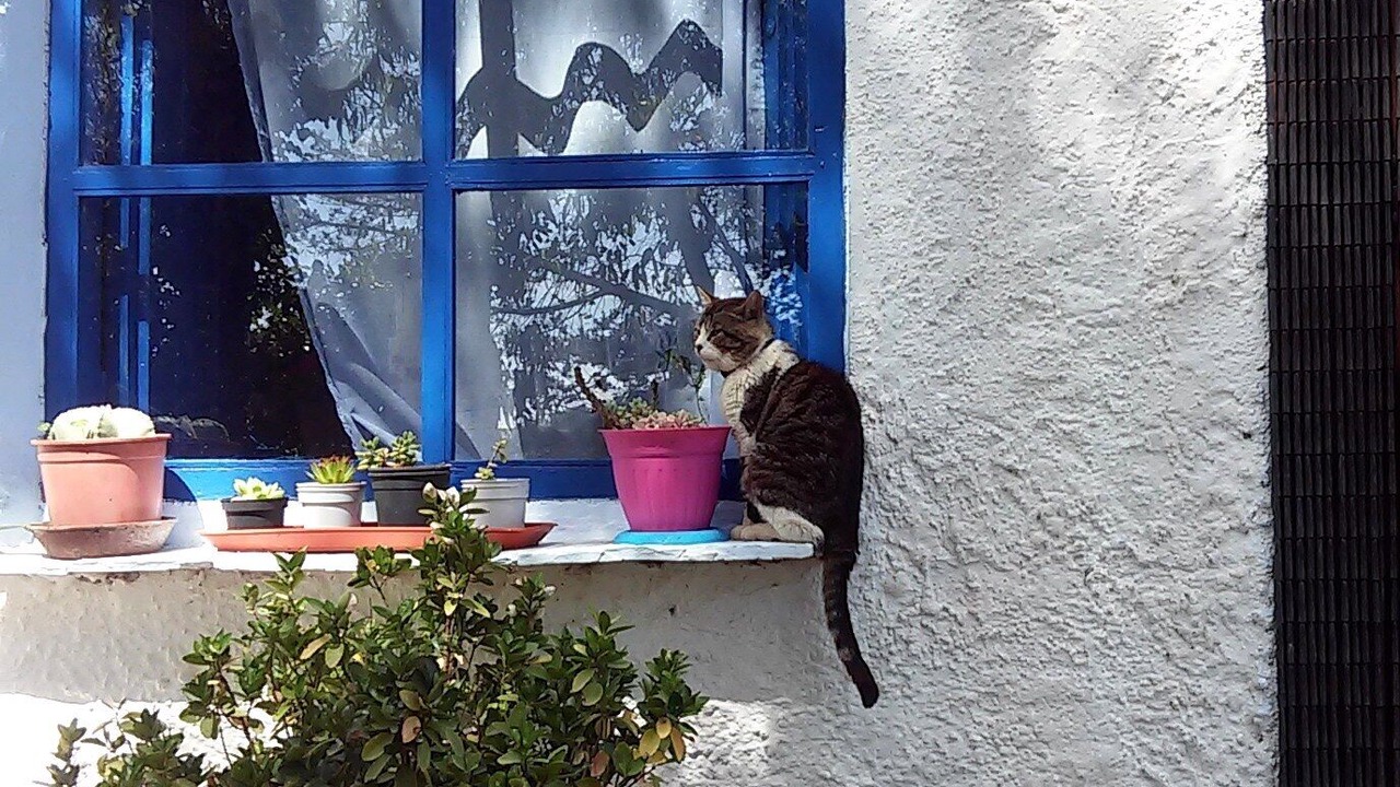 Photo of Outdoor in Laroles
