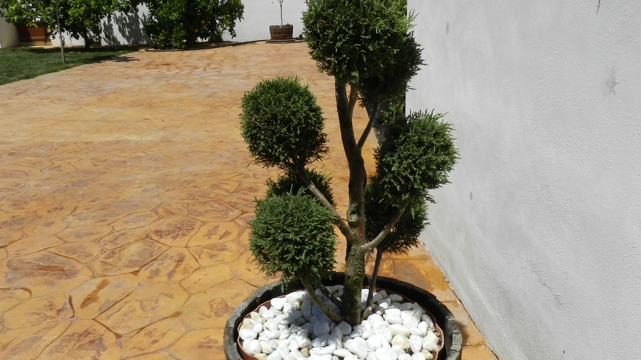Photo of Outdoor in Padul