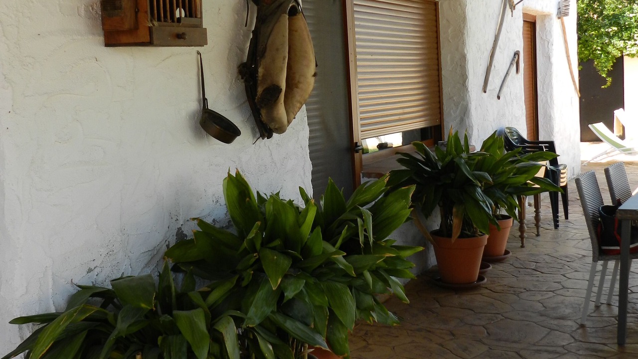 Photo of Outdoor in Padul