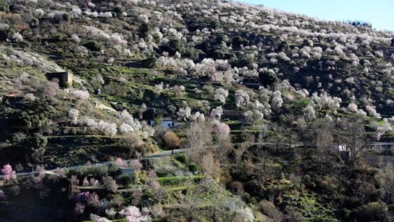 Photo of Outdoor in Laroles