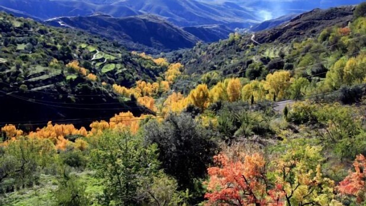 Photo of Outdoor in Laroles