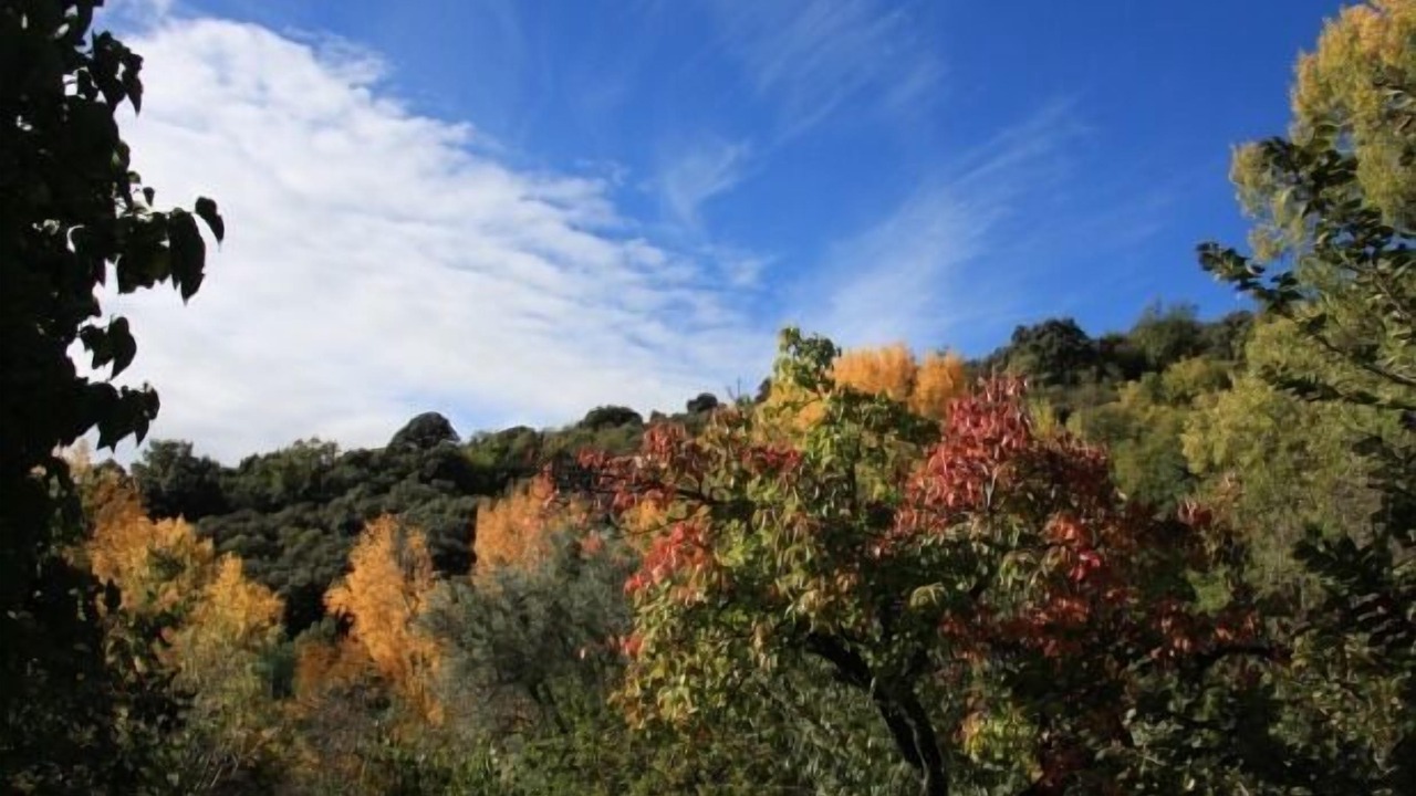 Photo of Outdoor in Laroles
