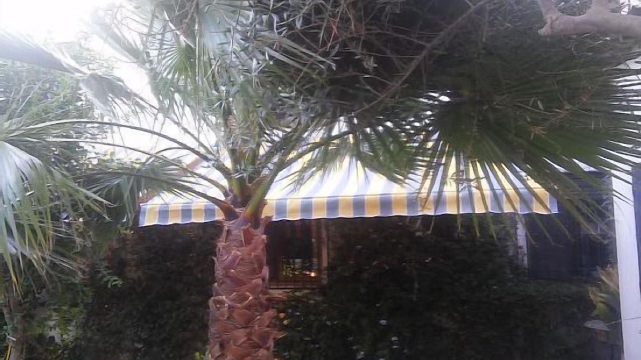 Photo of Outdoor in Pinos Puente